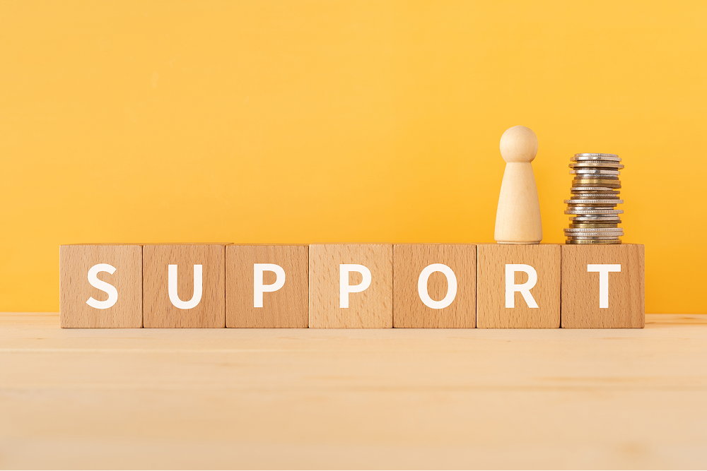 Admissions Support