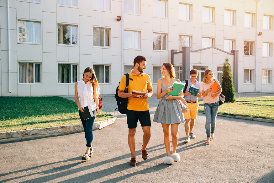 PR vs Work Visa vs Study Visa: Which Path is Best for Long-Term Settlement?